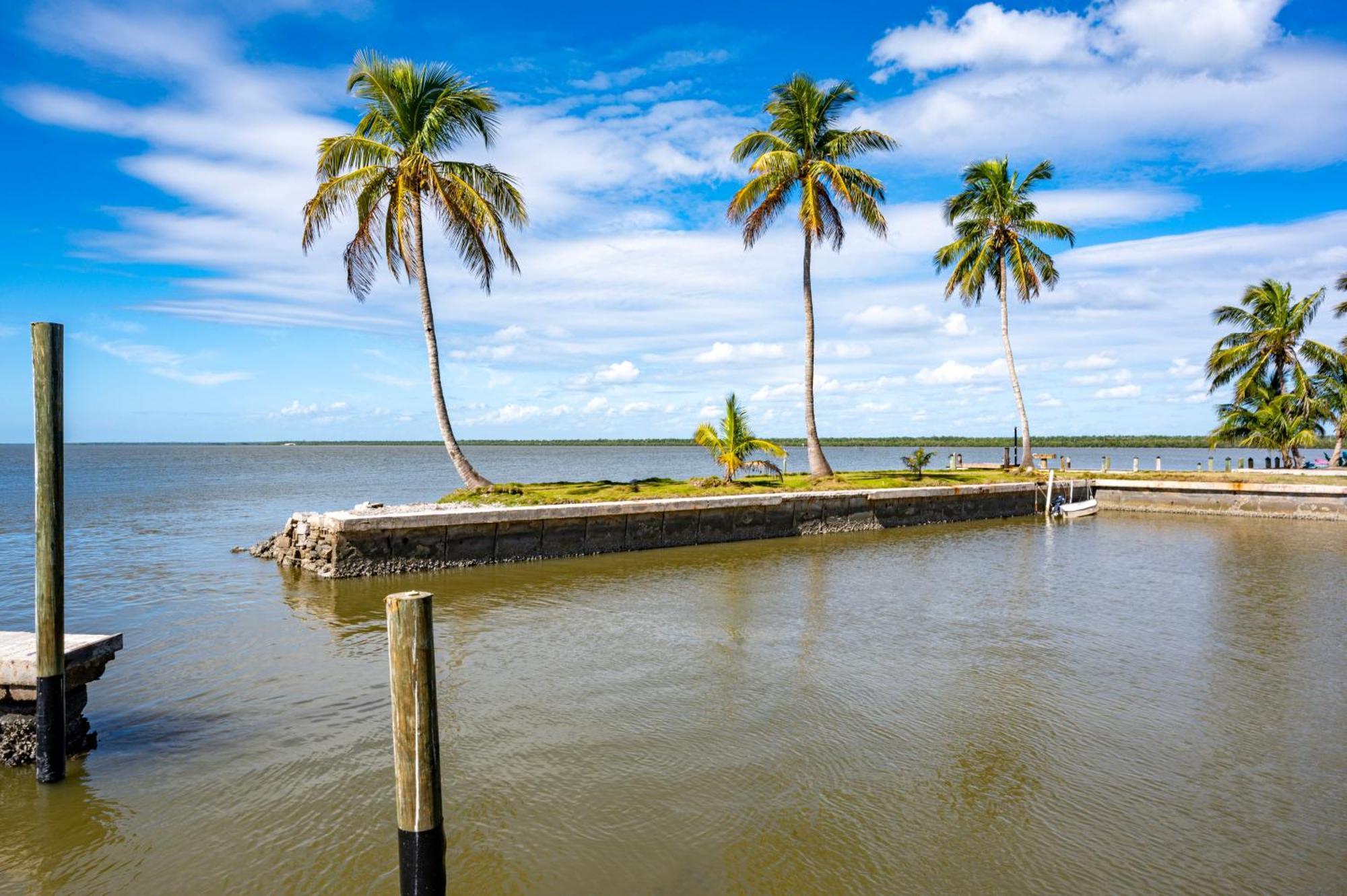 Chokoloskee Island Rv Park Everglades City Ngoại thất bức ảnh